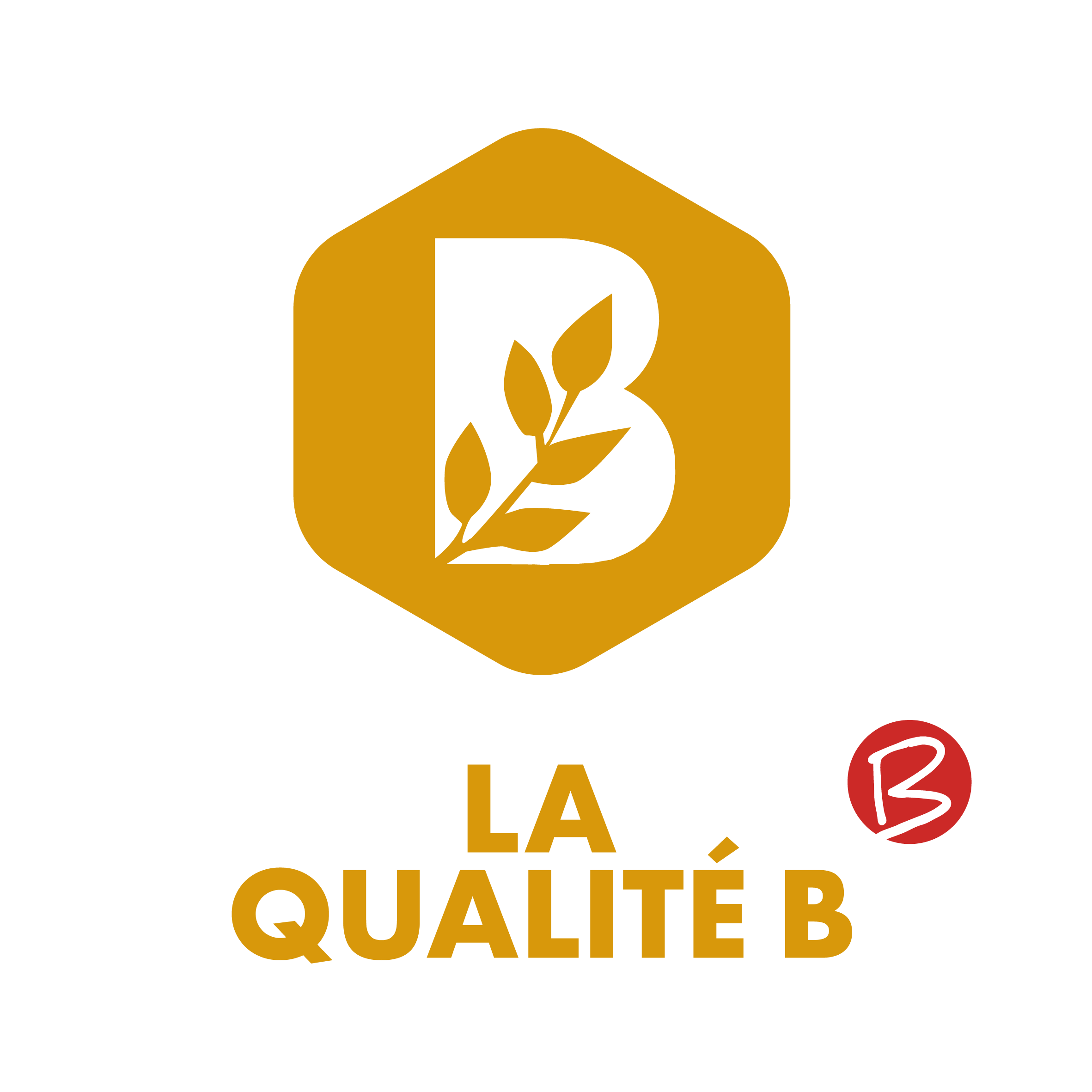logo la qualiteb